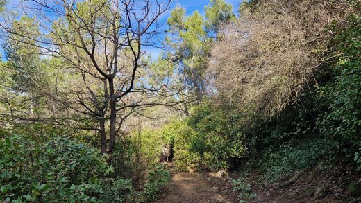 Montferrier-sur-Lez, Héraultの土地