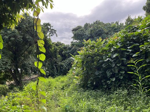 地皮  Punaauia, Îles du Vent