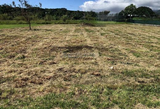 Grundstück in Taravao, District de Vairao