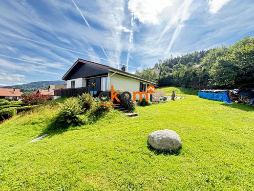 Casa di lusso a Gérardmer, Vosgi