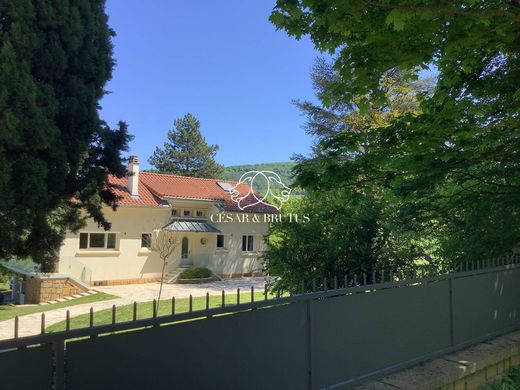 Luxury home in Chasselay, Rhône