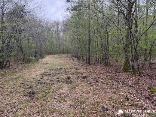 Luxury home in Romorantin-Lanthenay, Loir-et-Cher