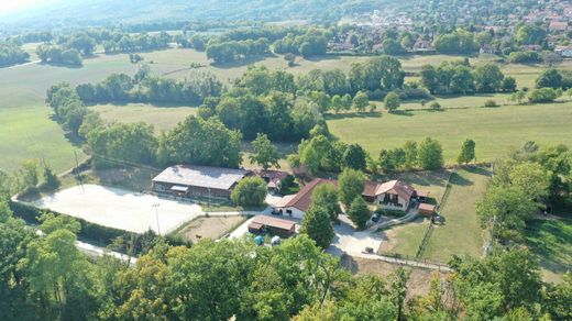 Πολυτελή κατοικία σε Divonne-les-Bains, Ain
