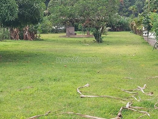 토지 / Vairao, Taiarapu-Ouest