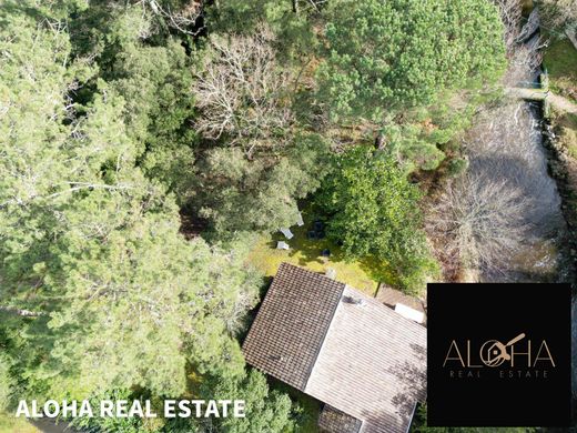 地皮  Soorts, Landes