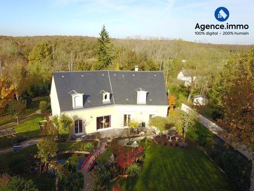 호화 저택 / Saint-Règle, Indre-et-Loire