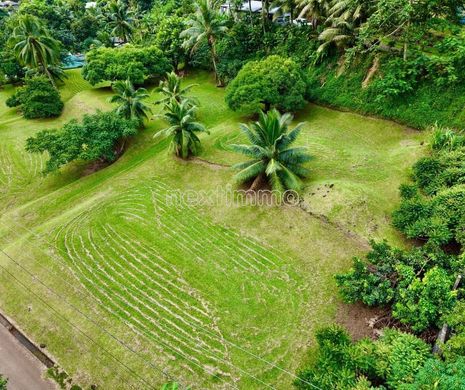 Land in Papenoo