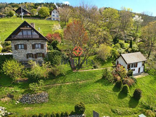 Casa di lusso a Saint-Jean-le-Vieux, Isère
