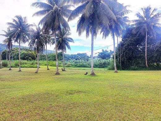 Αγροτεμάχιο σε Taravao, District de Vairao