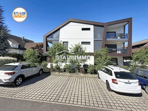 Apartment in Village-Neuf, Haut-Rhin