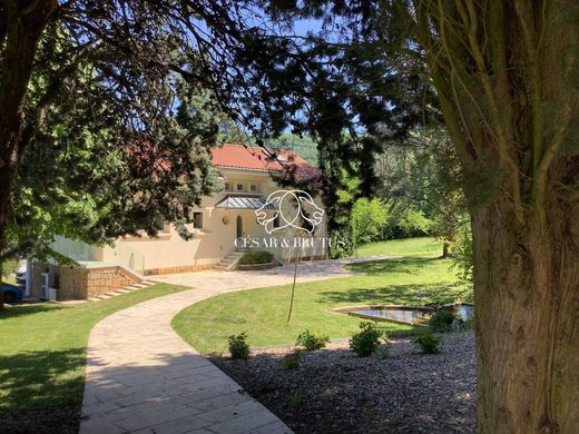 Luxury home in Chasselay, Rhône