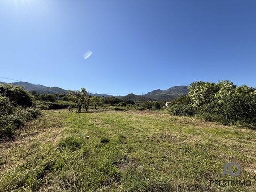 Luxus-Haus in Furiani, Haute-Corse