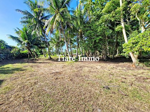Terreno - Afareaitu, Îles du Vent