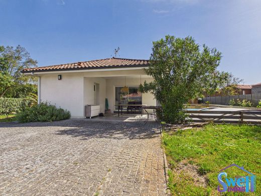 Luxus-Haus in Messanges, Landes