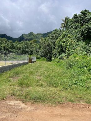 Teren w Moorea, Moorea-Maiao