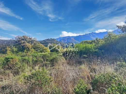 Land in Cateri, Upper Corsica
