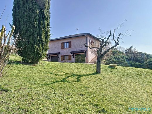 Luxury home in Saint-Pierre-la-Palud, Rhône