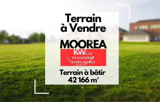 Arsa Afareaitu, Îles du Vent