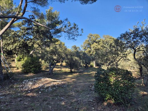 Luksusowy dom w Villeneuve-lès-Avignon, Gard