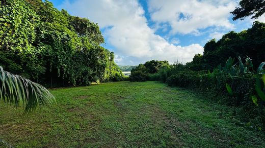 Αγροτεμάχιο σε Afaahiti, District de Vairao