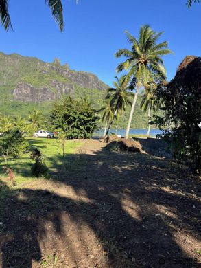 Land in Paopao, Îles du Vent