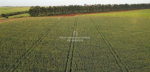 Maison de luxe à Ipauçu, Ipaussu