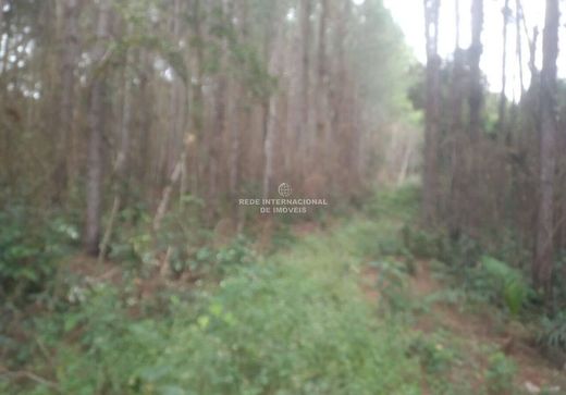 Luksusowy dom w Eldorado, Mato Grosso do Sul