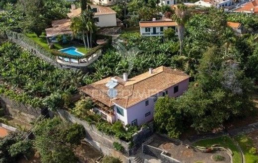 빌라 / Funchal, Madeira