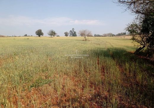 Casa de luxo - Adamantina, São Paulo