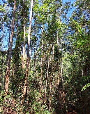 Luxury home in Bragança Paulista, São Paulo