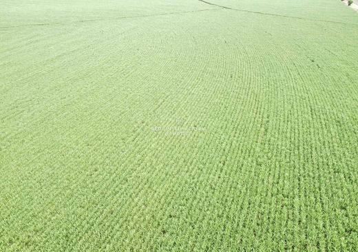 Πολυτελή κατοικία σε Icém, São Paulo