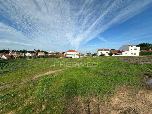 Land in Santarém, Distrito de Santarém