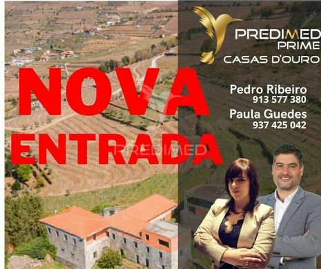 Mesão Frio, Distrito de Vila Realの高級住宅