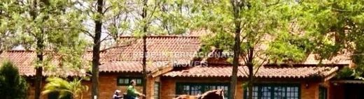 Casa de luxo - Porto Feliz, São Paulo