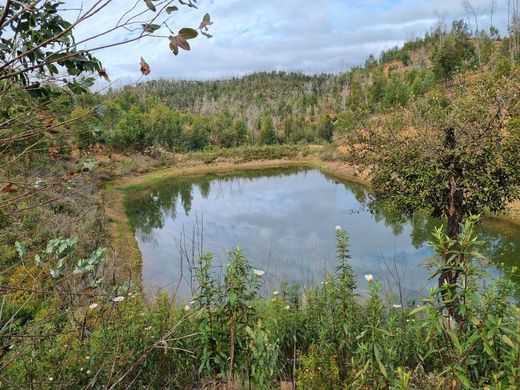 토지 / Silves, Distrito de Faro