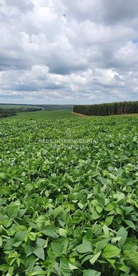 Casa de lujo en Adamantina, São Paulo