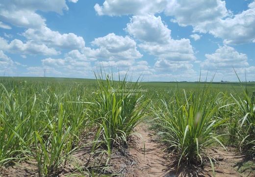 Casa de lujo en Adamantina, São Paulo
