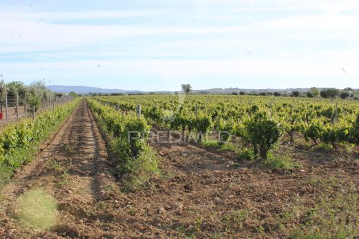 豪宅  Redondo, Distrito de Évora