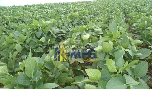 Luxe woning in Coronel Macedo, São Paulo