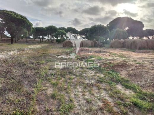 Grândola, Distrito de Setúbalの土地