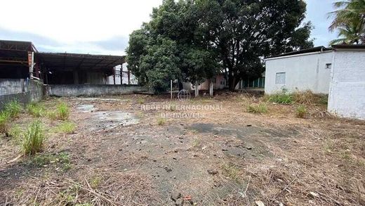 토지 / Santa Cruz, Aracruz