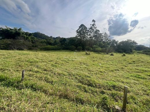 Arsa Gaspar, Santa Catarina