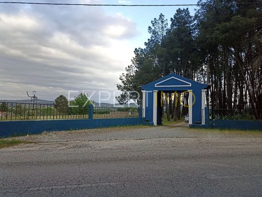 Villa - Belmonte, Castelo Branco