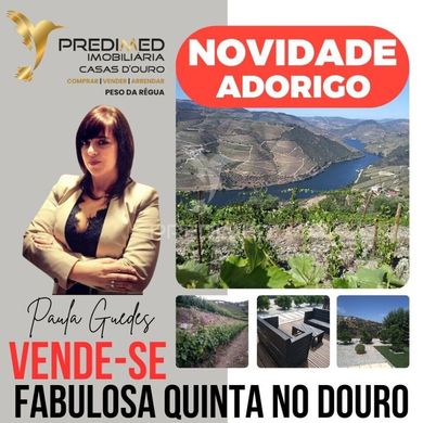 Luxury home in Tabuaço, Distrito de Viseu