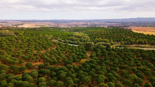 Maison de luxe à Odemira, Distrito de Beja