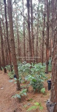 Luxe woning in Itapetininga, São Paulo