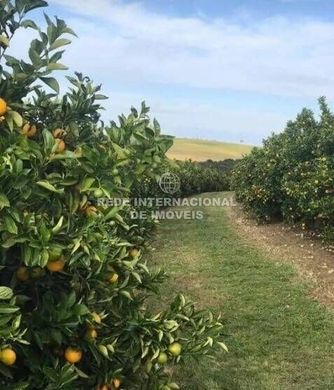 Casa de lujo en Adamantina, São Paulo