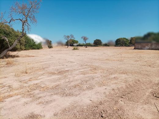 Αγροτεμάχιο σε Silves, Distrito de Faro
