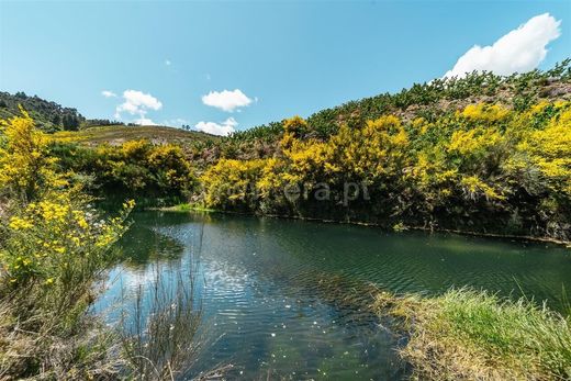 منزل ﻓﻲ Fundão, Distrito de Castelo Branco