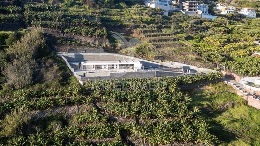 Вилла, Кальета, Madeira